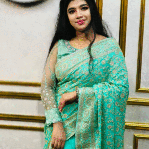 Premium Chiffon Georgette Party wear saree | for wedding | Engagement | Swaag Heritage