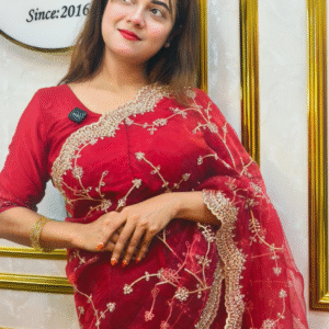 Red sequence Zari Embroidered with stone work premium tissue organza Saree